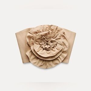 Zara Beige Maci Organza Floral Top